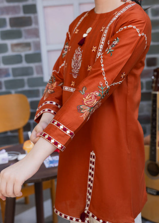 Burnt Orange Embroidered Lawn Co-Ord Set 2 Piece – MJ Collections